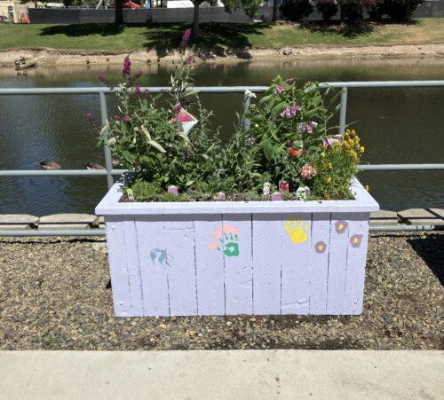Supporting Sustainability at Micron: Treasure Valley Landscape Helps Bring Boise Community Garden to Life