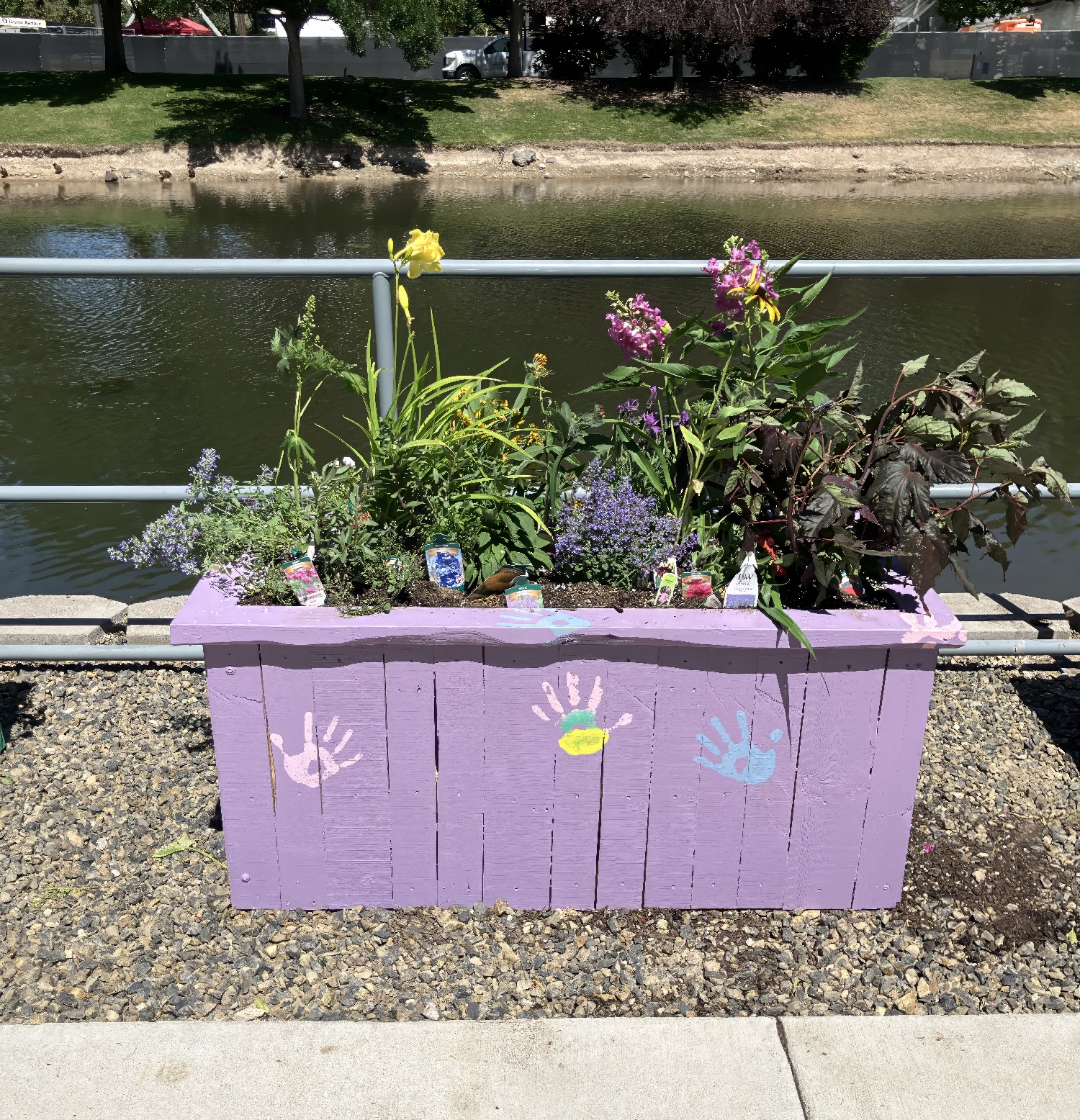 Supporting Sustainability at Micron: Treasure Valley Landscape Helps Bring Boise Community Garden to Life