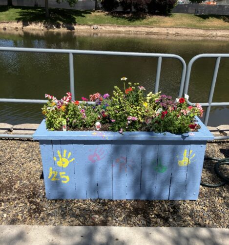 Supporting Sustainability at Micron: Treasure Valley Landscape Helps Bring Boise Community Garden to Life