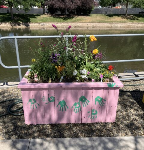 Supporting Sustainability at Micron: Treasure Valley Landscape Helps Bring Boise Community Garden to Life