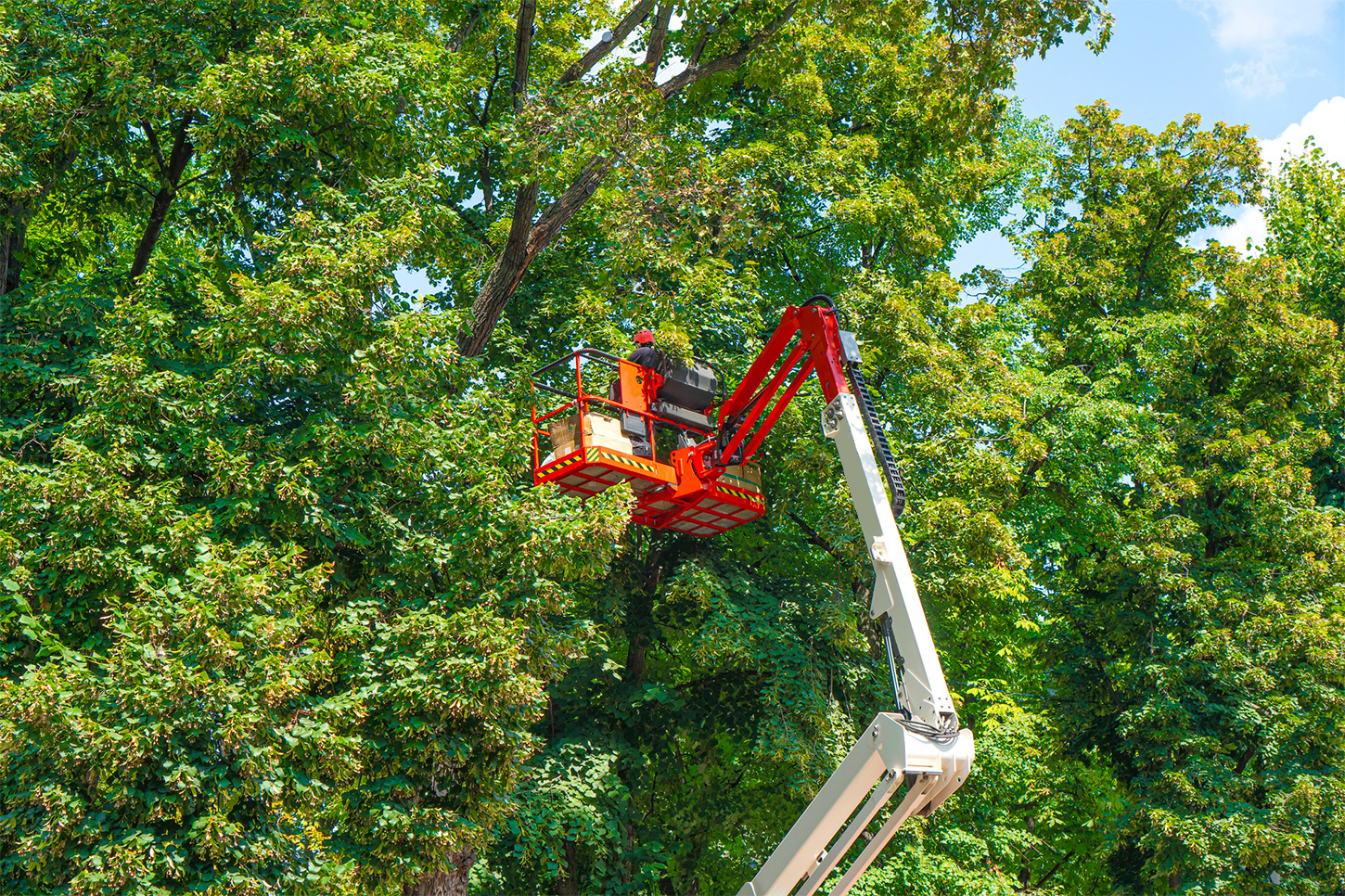 Tree Service - Treasure Valley Landscape Company